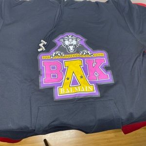 Exclusive Balmain Hoodie from Beyoncé Coachella